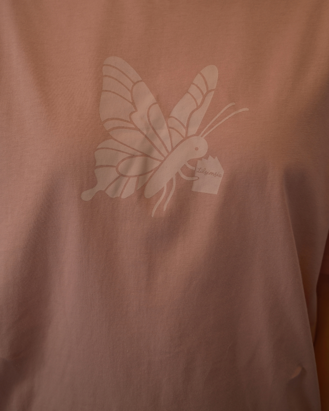 Lilsimsie BookNic Bundle